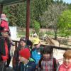 Zoo - Olomouc