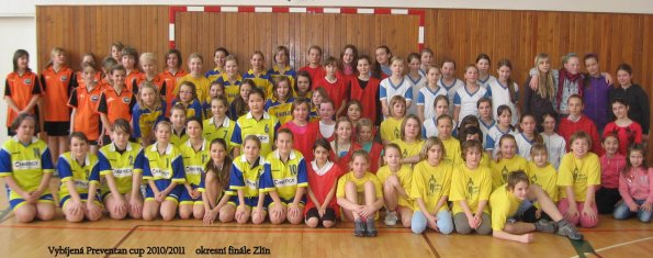vybijena2011_01