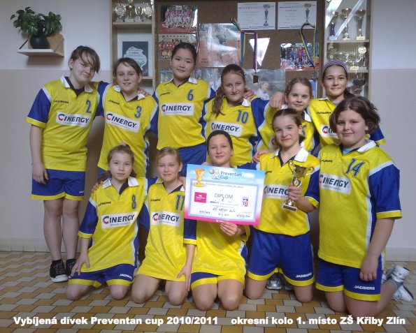 vybijena2011_02