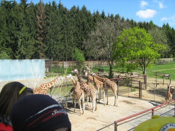 zoo 002