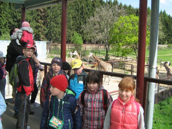 zoo 004