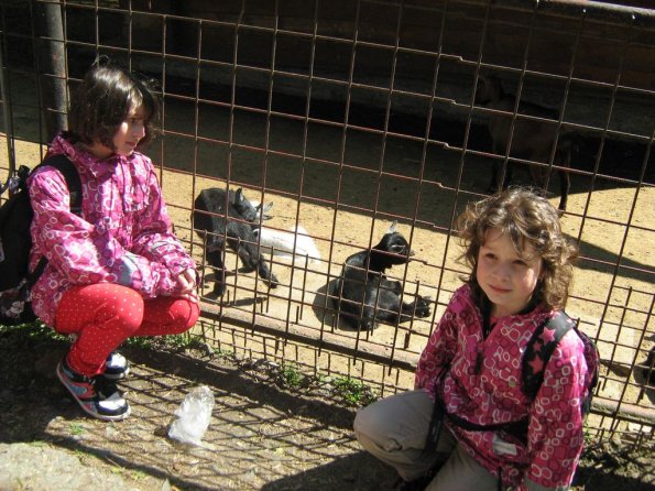 zoo 005