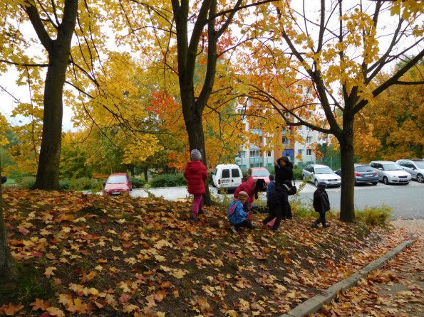 2015-10-20 SD 050