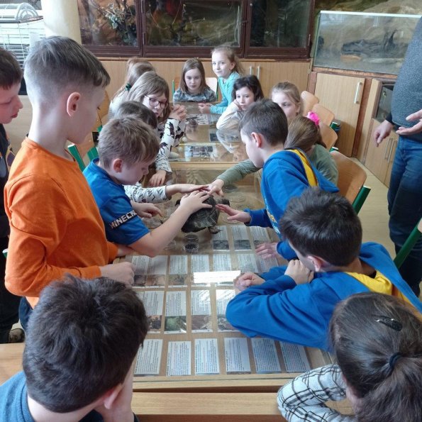 minizoo-19