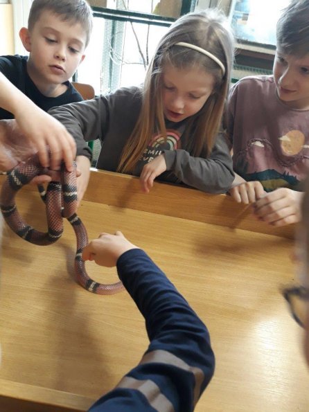 minizoo-48