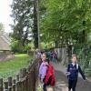 zoo1b_2c_07