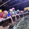zoo1b_2c_10