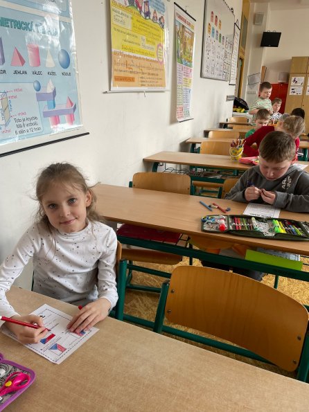 projektcesko-07