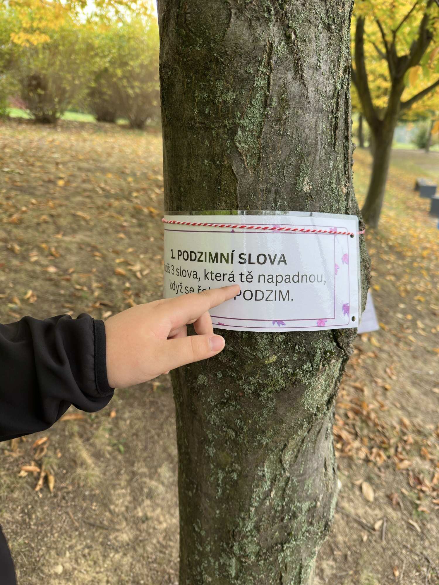 Podzimní učení venku 