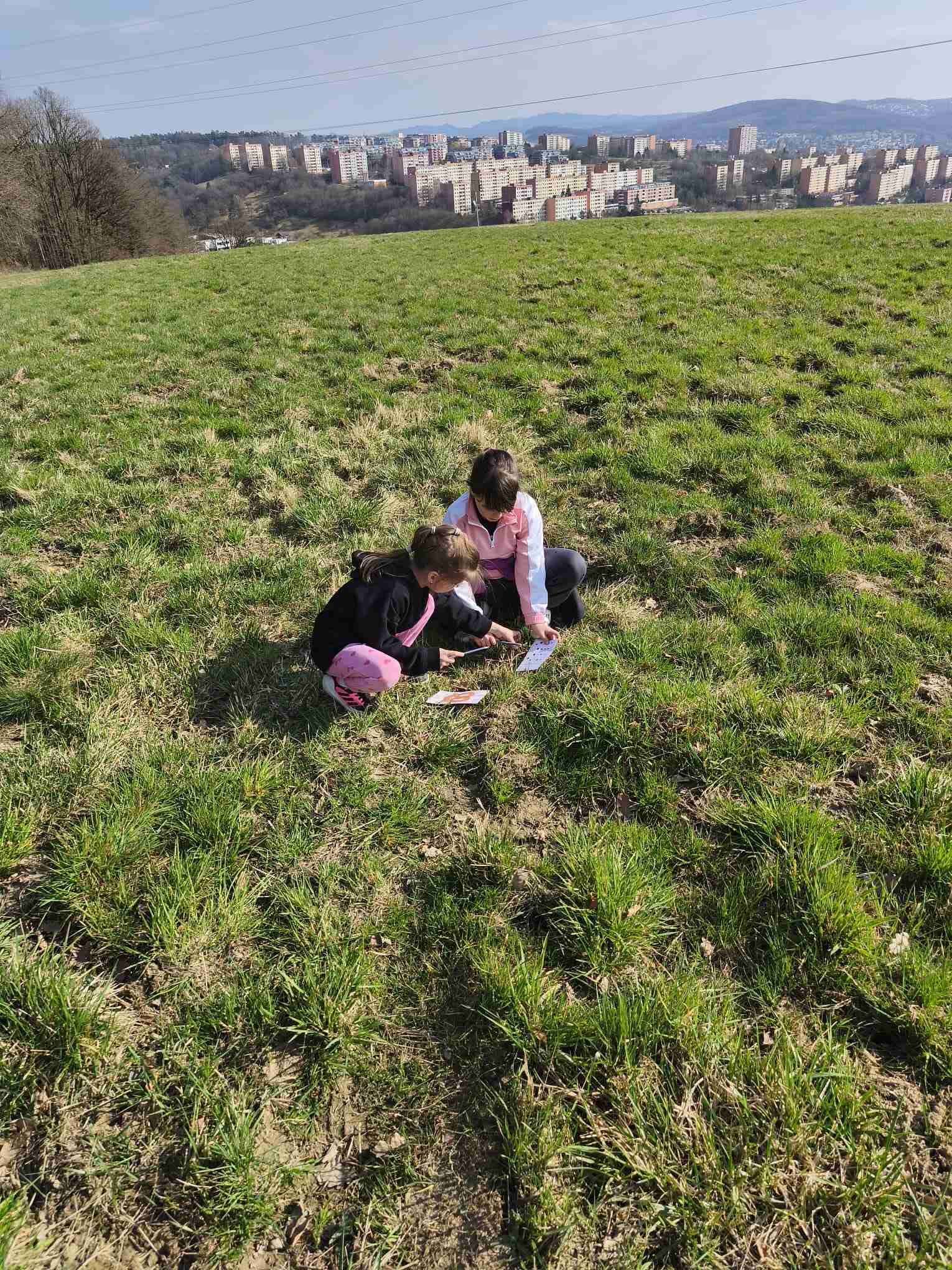 ŠD - Procházka do lesa 