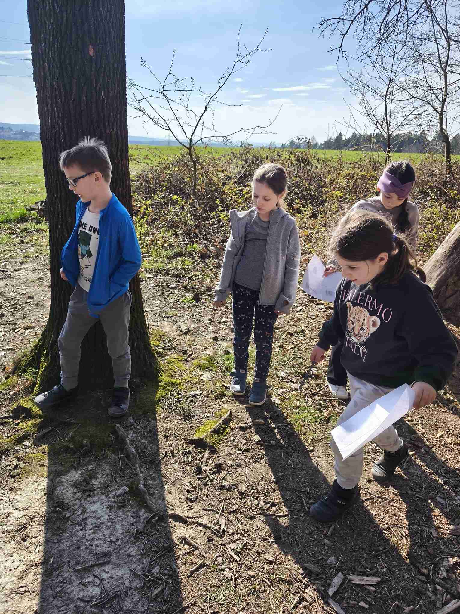 ŠD - Procházka do lesa 
