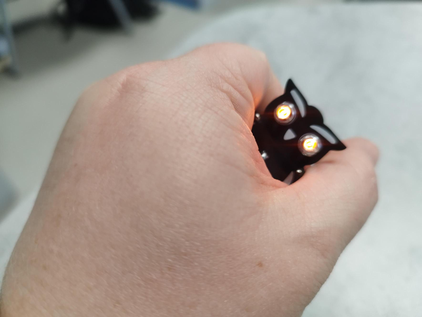 Druhá fyzikální dílna – pájení sovičky