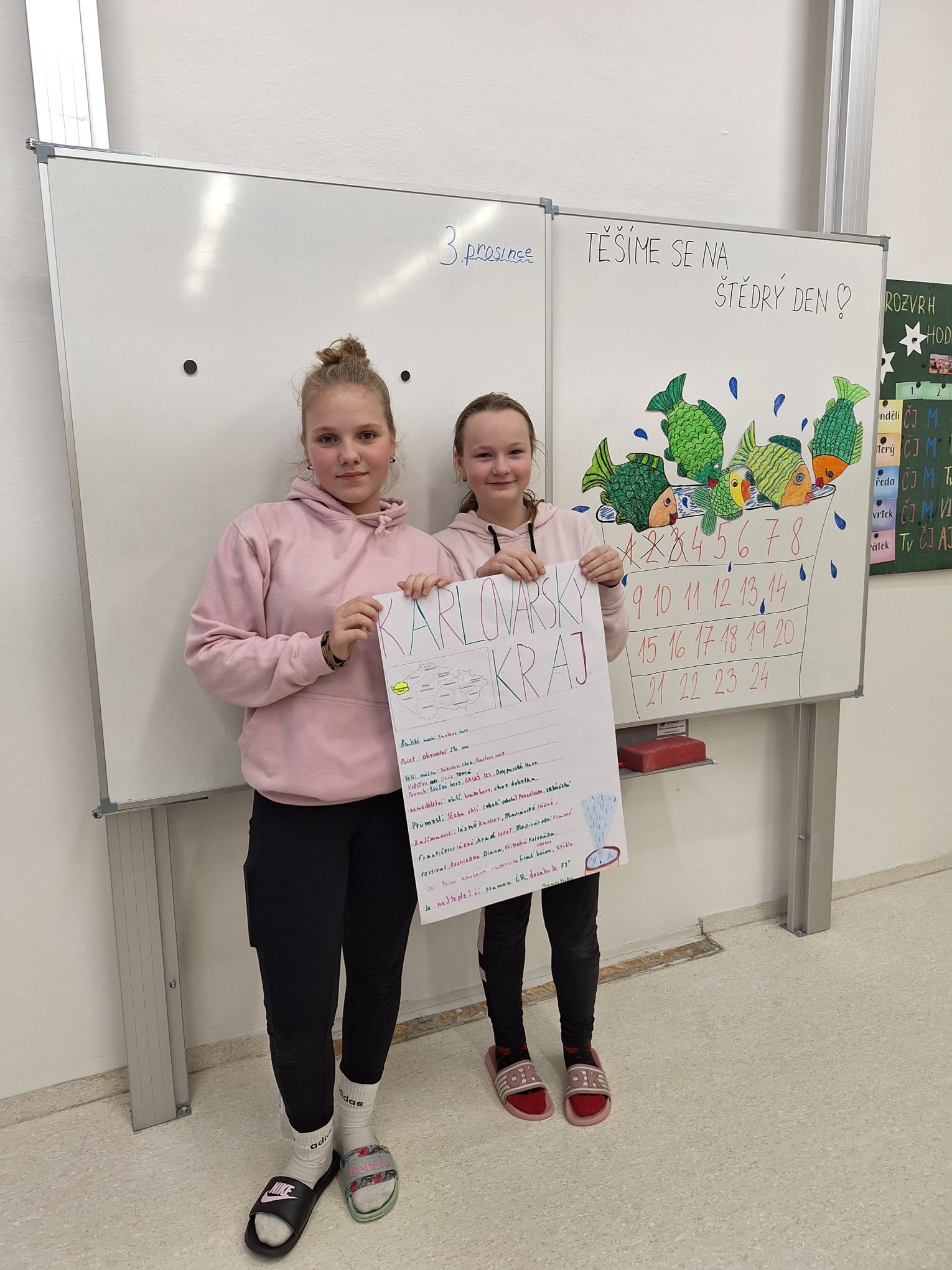 Projekt Kraje České republiky