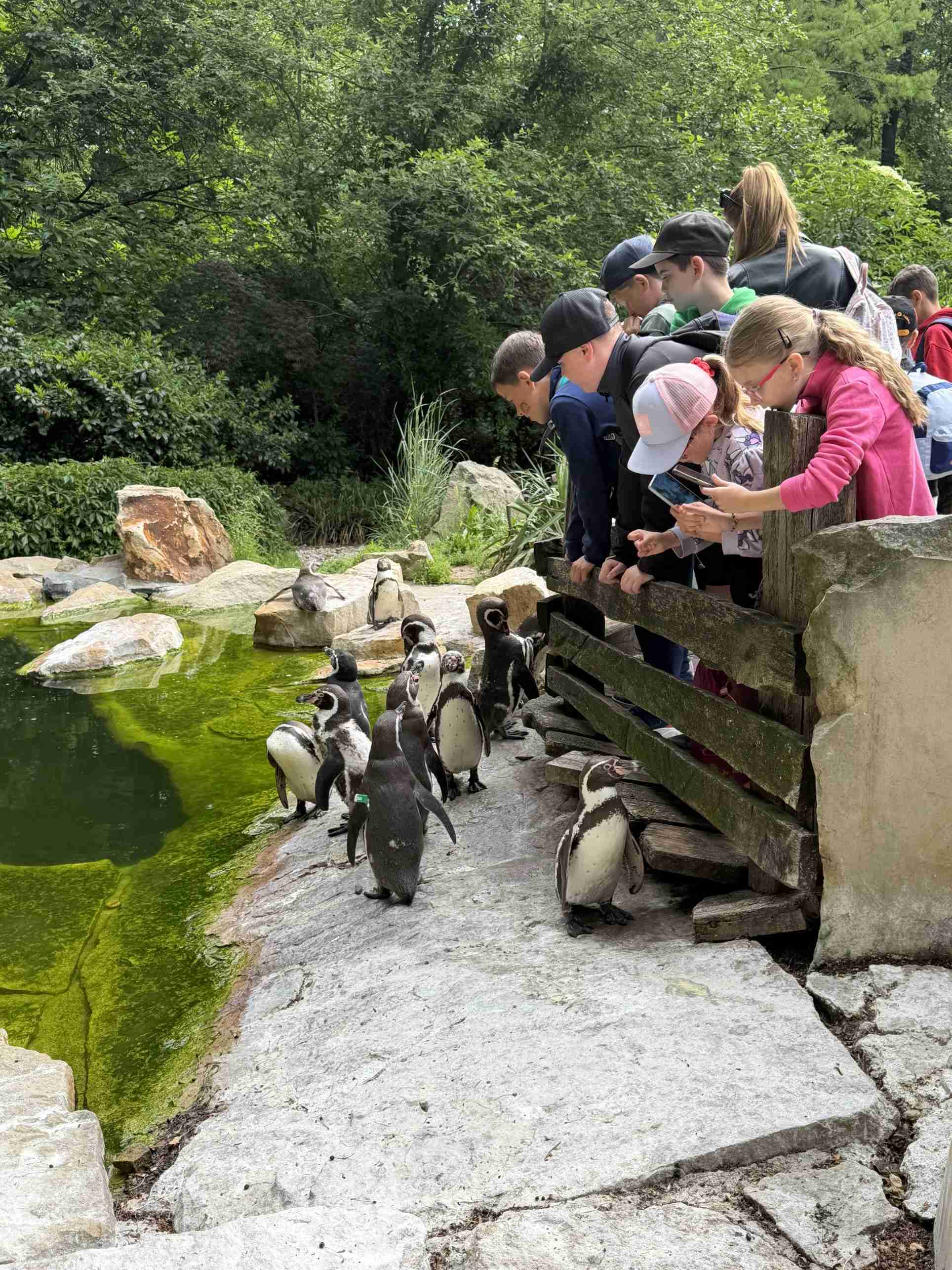 Výlet do ZOO Lešná 1.B a 3.C