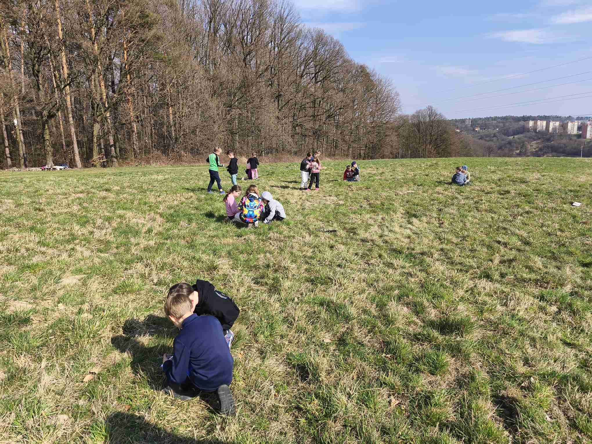 ŠD - Procházka do lesa 
