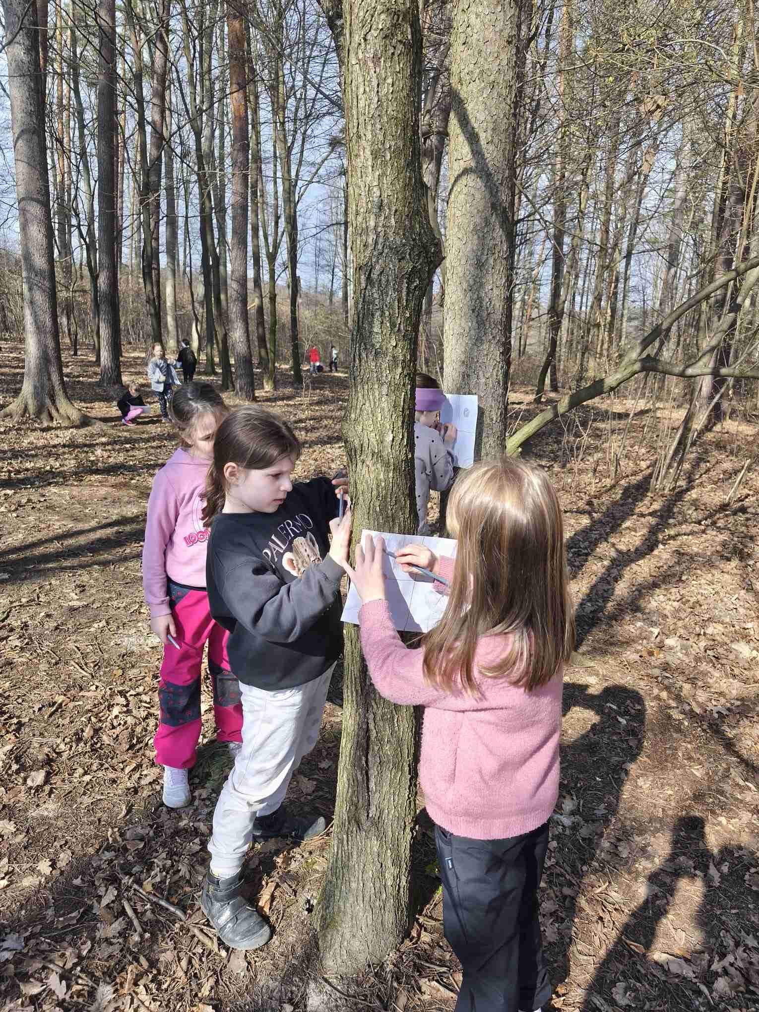 ŠD - Procházka do lesa 