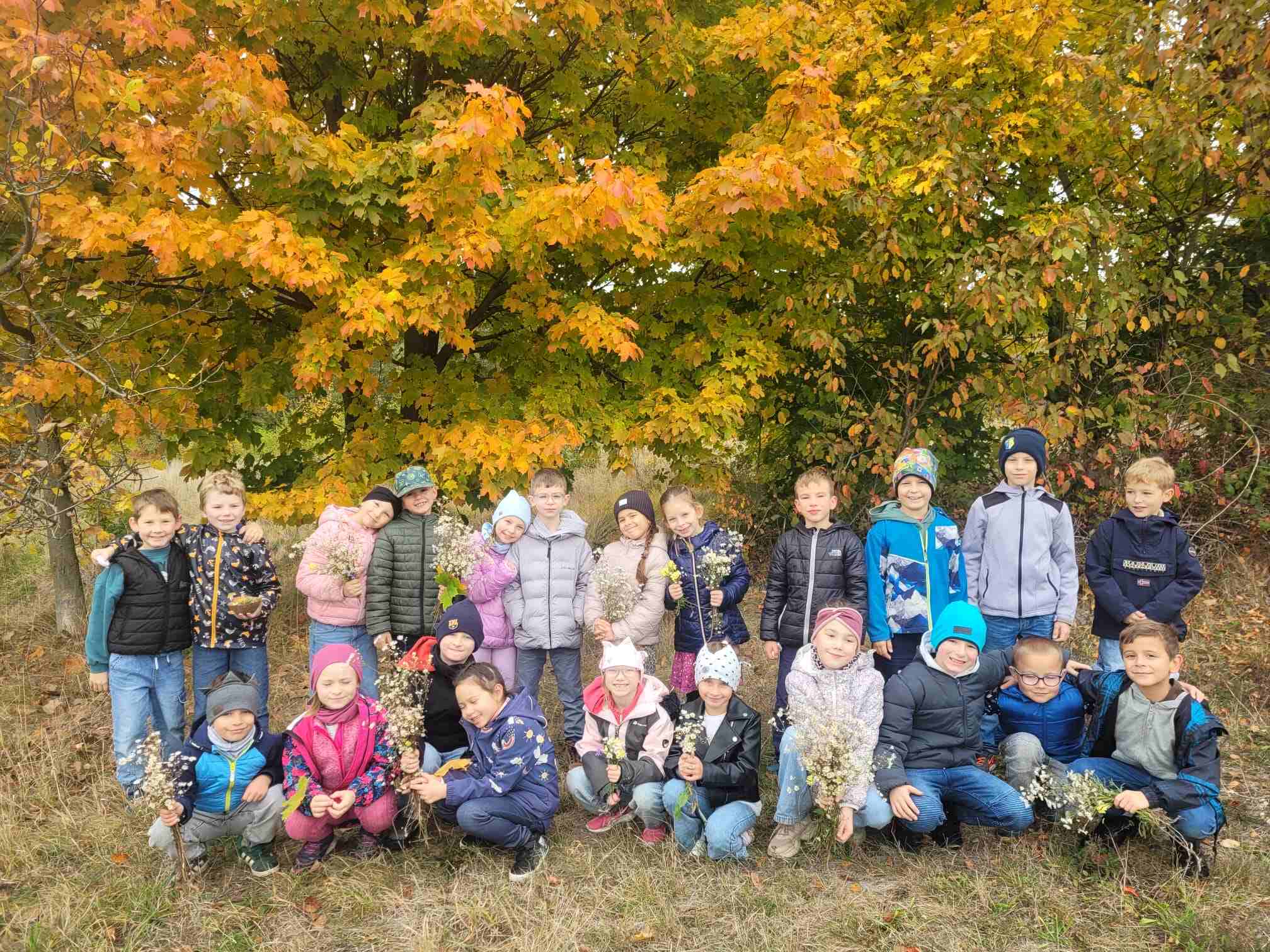 Den stromů ve 2.B 