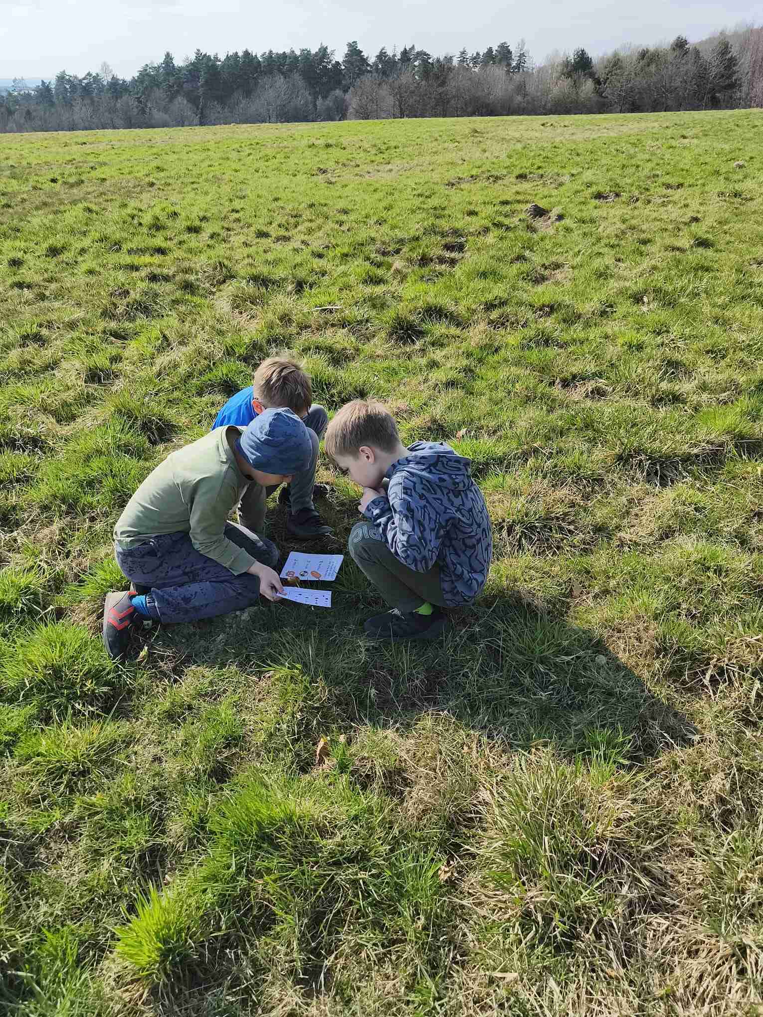 ŠD - Procházka do lesa 