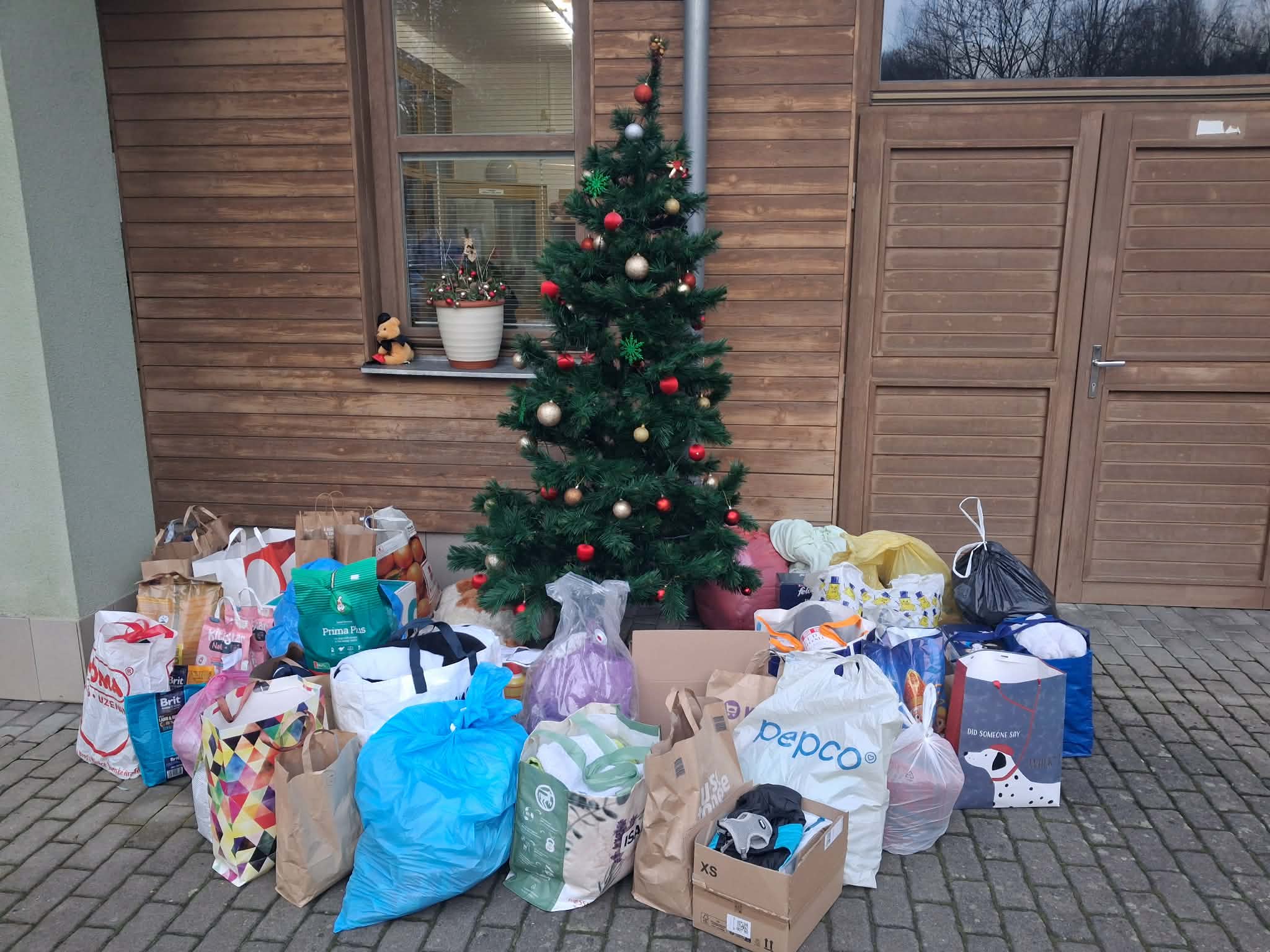 Velmi úspěšná sbírka pro Útulek pro zvířata v nouzi ve Zlíně