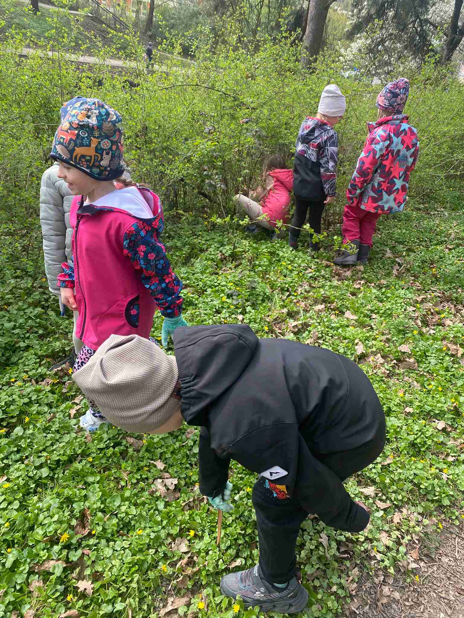 ŠD - Akce Ukliďme Česko 