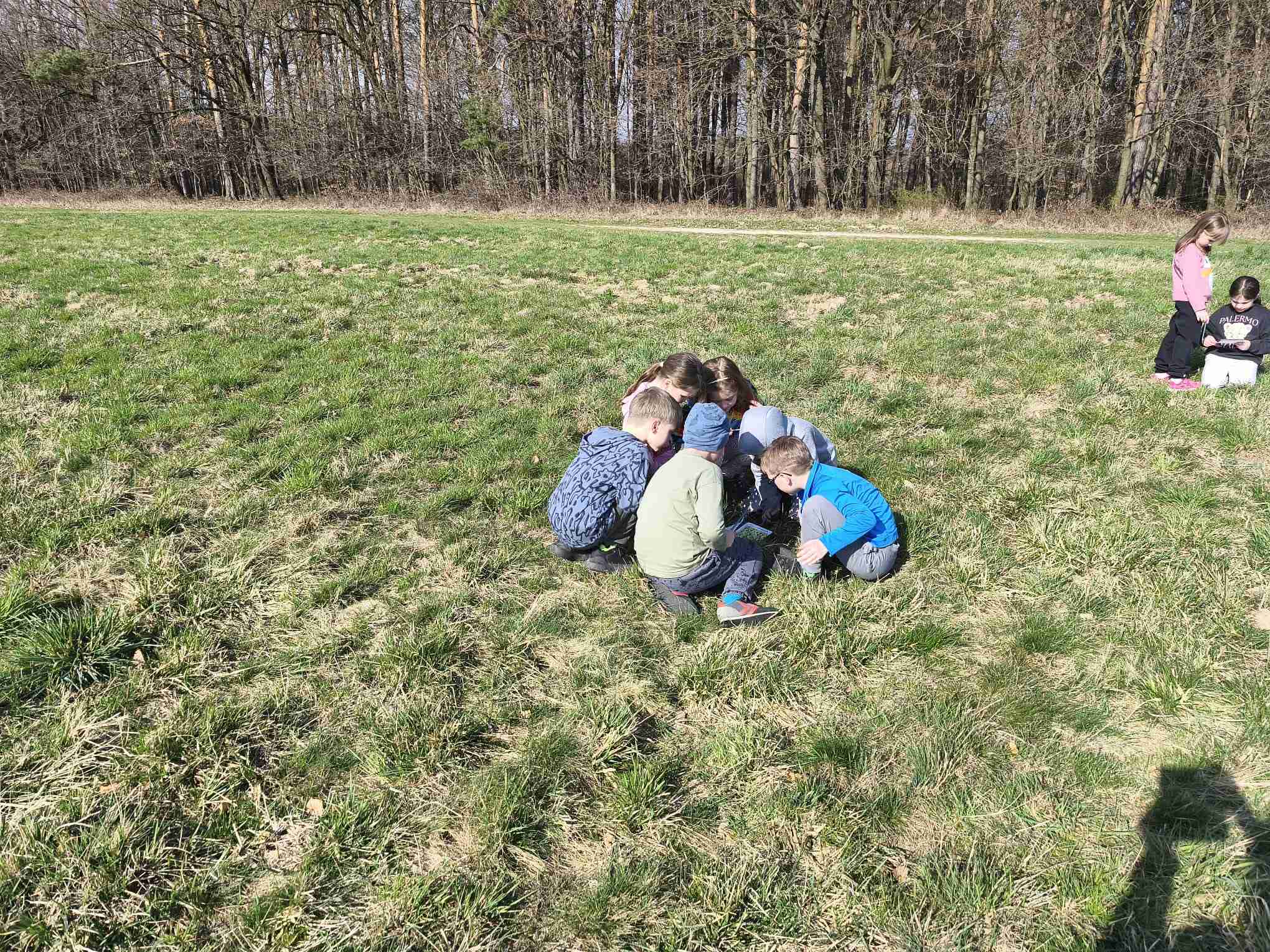 ŠD - Procházka do lesa 