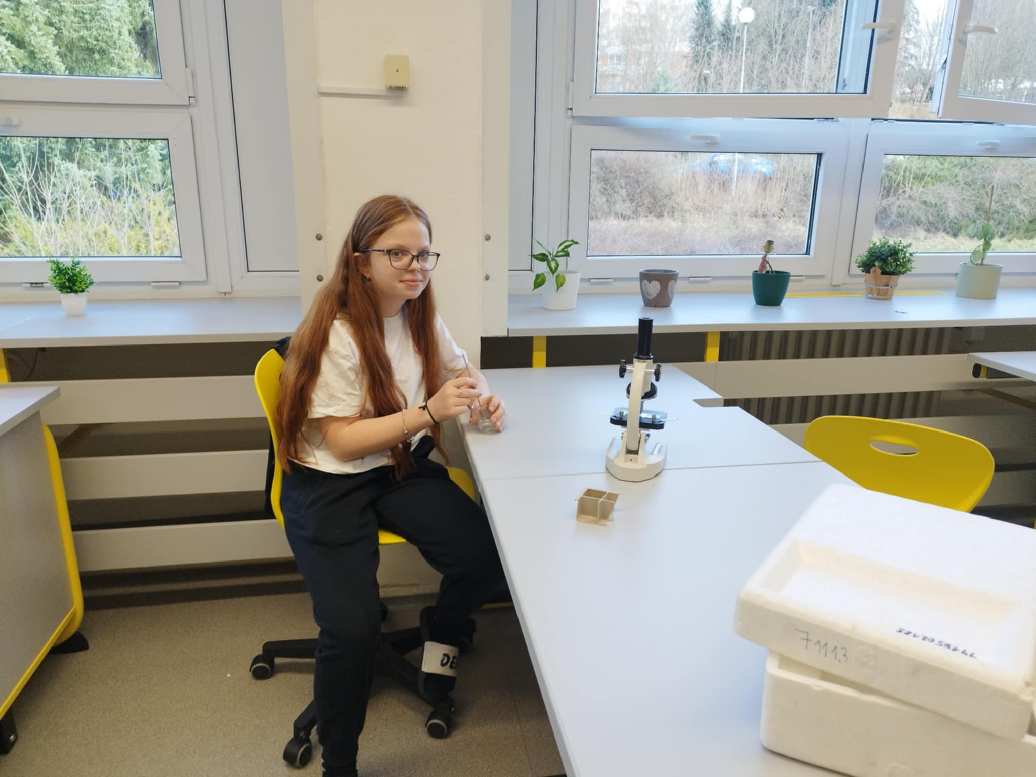 Fyzikální dílna - včelka