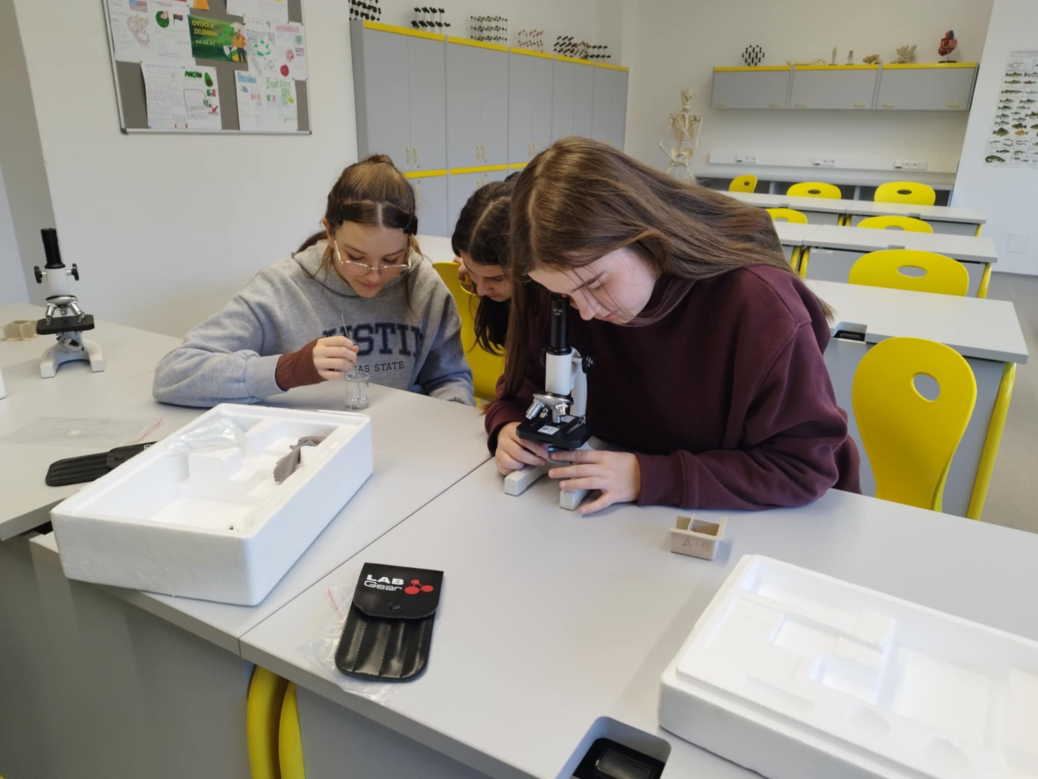 Fyzikální dílna - včelka