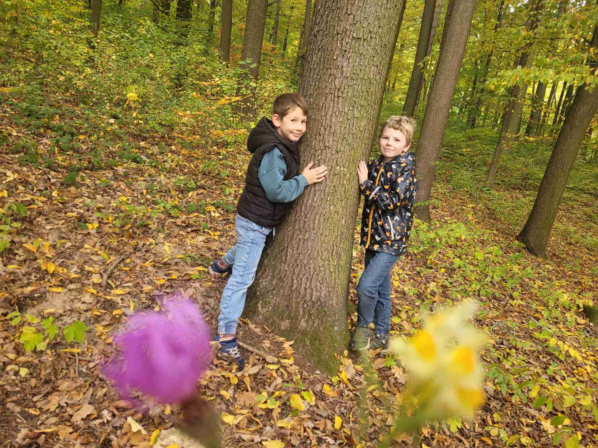 Den stromů ve 2.B 